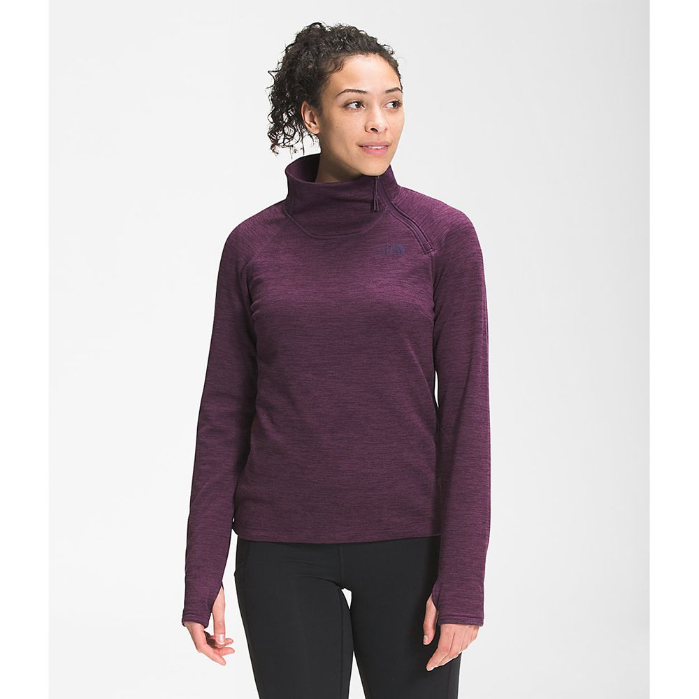 The North Face Fleece Jacket Womens Australia - The North Face Canyonlands ¼ Zip Burgundy / Black Cl